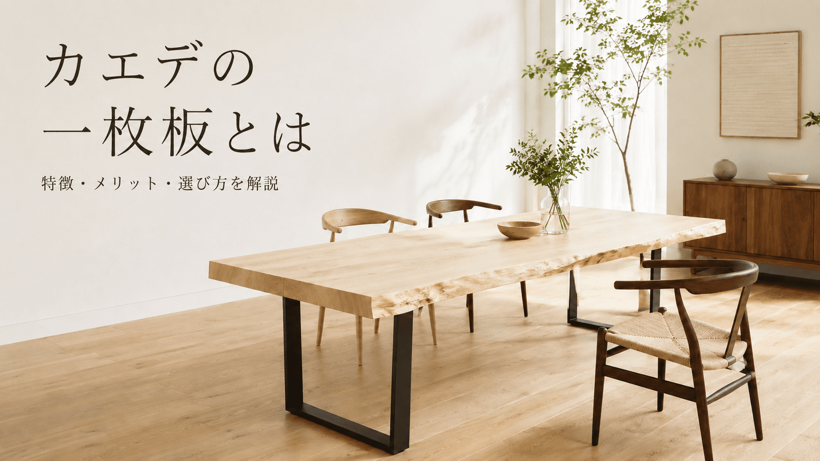 カエデ (楓) とは?楓の一枚板の特徴・魅力と失敗しない選び方