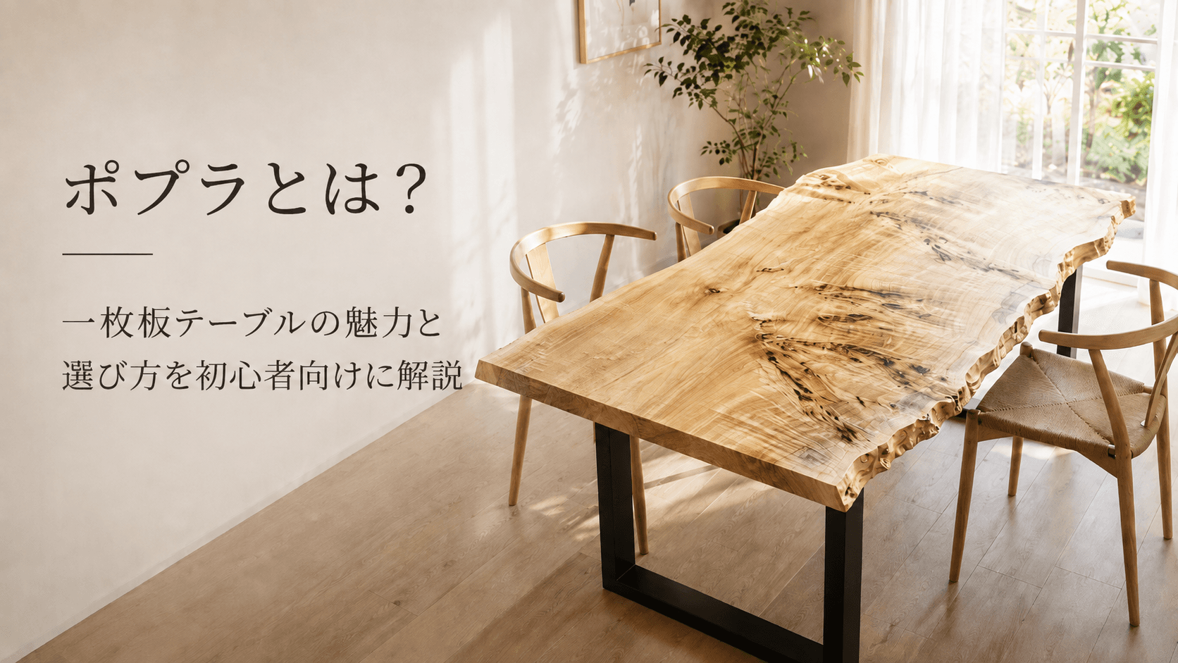 ポプラとは?一枚板テーブルの魅力と選び方を初心者向けに解説