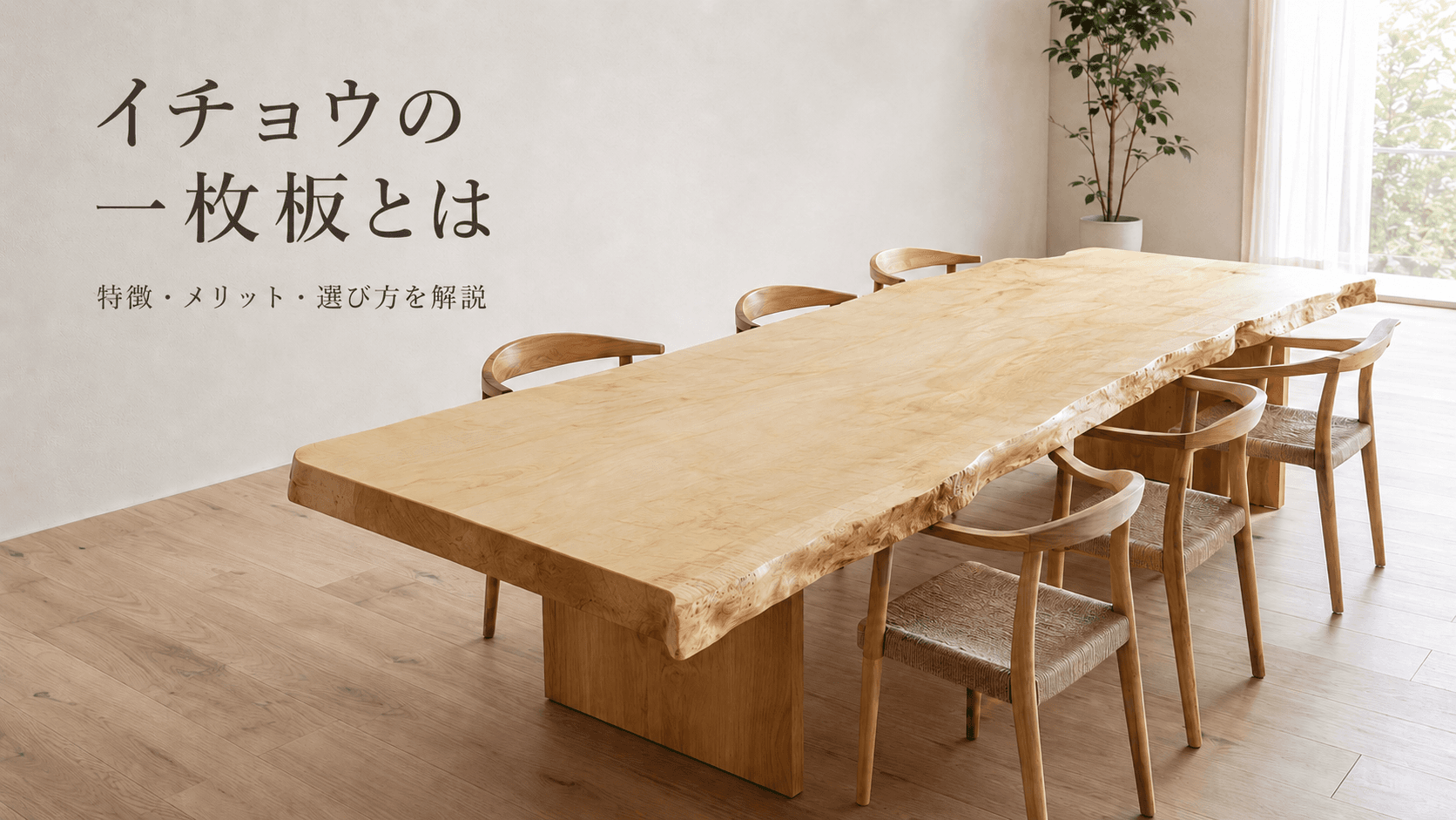 イチョウ木材の特徴とは?一枚板テーブルの魅力・注意点・選び方
