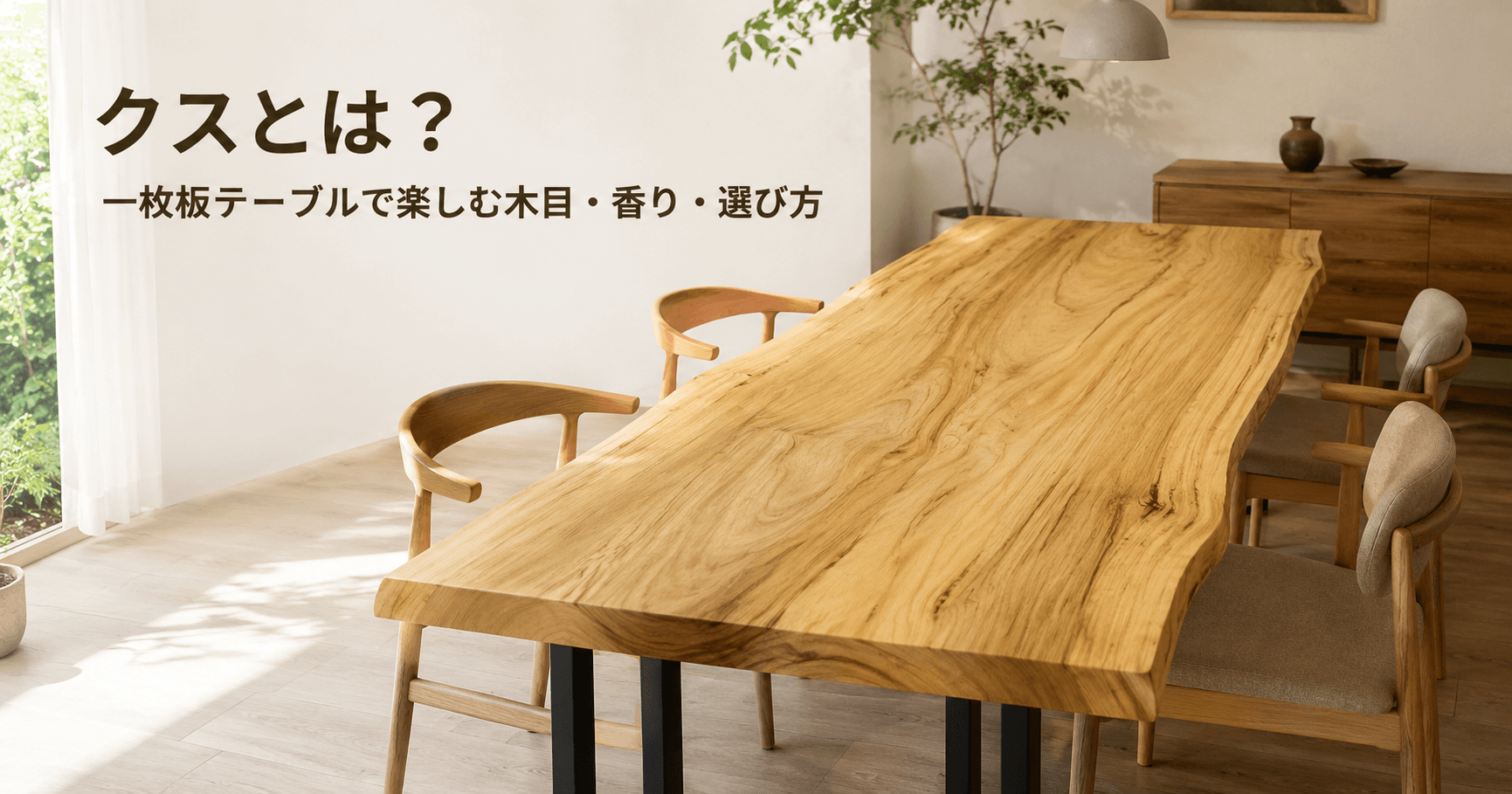 クスとは?一枚板テーブルで楽しむ木目・香り・選び方